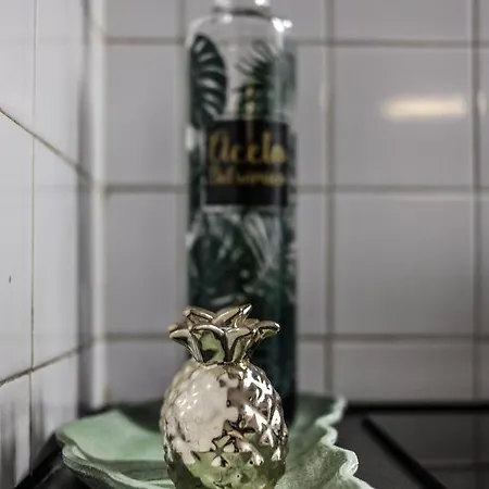 Cozy House Апартаменты *